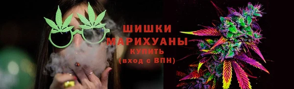 мдпв Шадринск