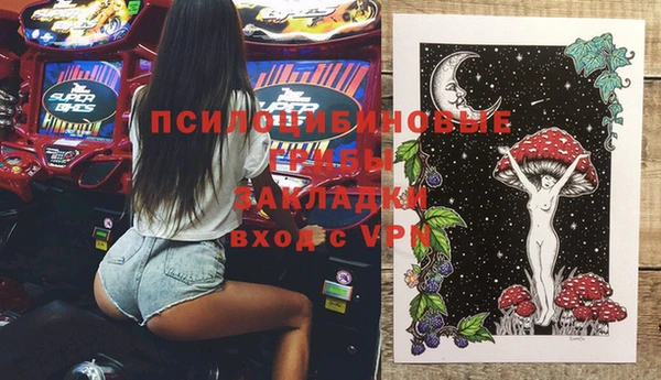 индика Шали
