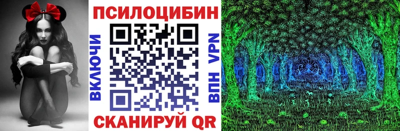 площадка наркотические препараты  Кинешма  Псилоцибиновые грибы Psilocybine cubensis 