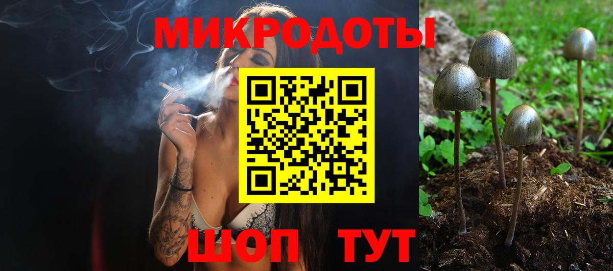 Псилоцибиновые грибы MAGIC MUSHROOMS Кинешма